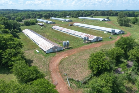 5 Acres For Sale - Gilmer, Texas - Upshur County Land - image 2