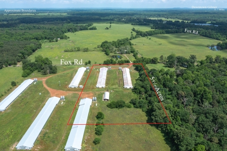 5 Acres For Sale - Gilmer, Texas - Upshur County Land - image 7