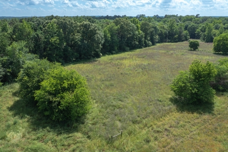 5 Acres For Sale - Gilmer, Texas - Upshur County Land - image 2