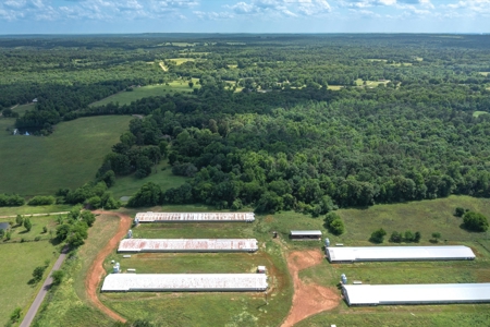 5 Acres For Sale - Gilmer, Texas - Upshur County Land - image 6