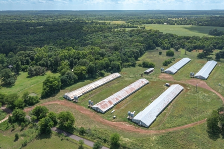 5 Acres For Sale - Gilmer, Texas - Upshur County Land - image 5