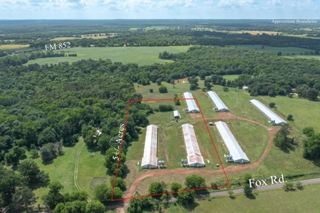 5 Acres For Sale - Gilmer, Texas - Upshur County Land - image 1
