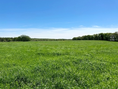 Cedar County Pasture Land for Sale - image 2