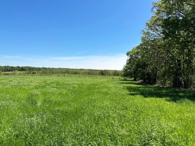 Cedar County Pasture Land for Sale - image 10
