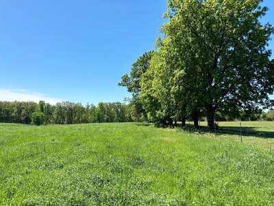 Cedar County Pasture Land for Sale - image 1