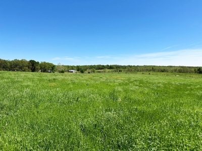 Cedar County Pasture Land for Sale - image 11