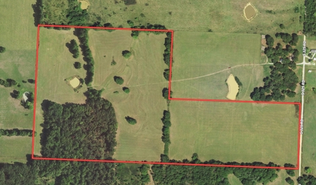 Cedar County Pasture Land for Sale - image 19
