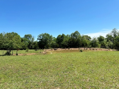 Cedar County Pasture Land for Sale - image 16