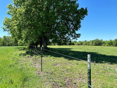 Cedar County Pasture Land for Sale - image 4