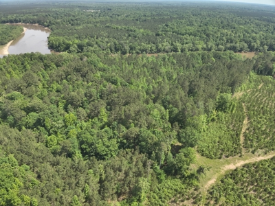 Timber Land W/ River Frontage in Ouachita Co., AR for Sale - image 1