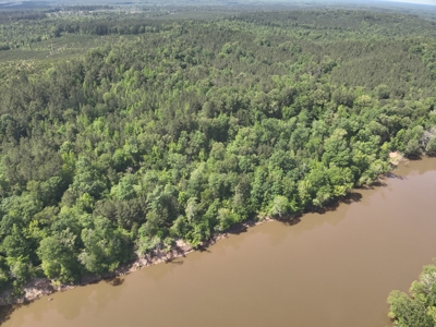 Timber Land W/ River Frontage in Ouachita Co., AR for Sale - image 7