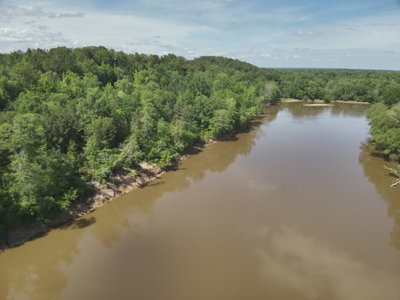 Timber Land W/ River Frontage in Ouachita Co., AR for Sale - image 9