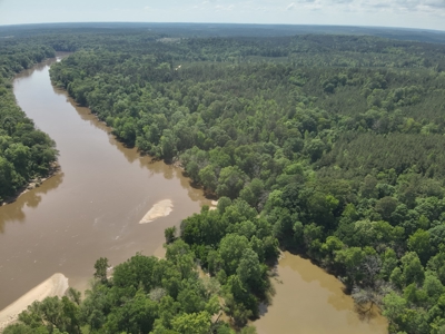 Timber Land W/ River Frontage in Ouachita Co., AR for Sale - image 5