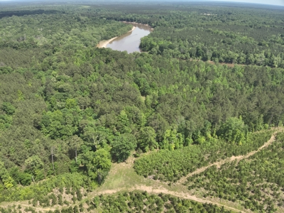 Timber Land W/ River Frontage in Ouachita Co., AR for Sale - image 4