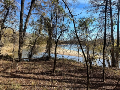 Timber Land W/ River Frontage in Ouachita Co., AR for Sale - image 12
