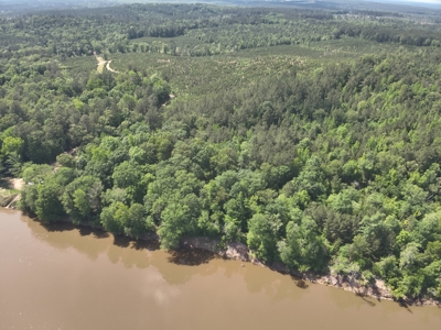 Timber Land W/ River Frontage in Ouachita Co., AR for Sale - image 6
