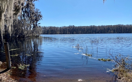 Cottage Home on Lake Ocatahatchee For Sale in Jennings, FL - image 26