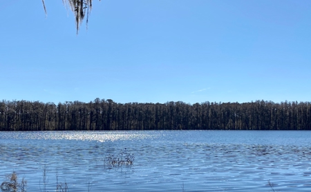 Cottage Home on Lake Ocatahatchee For Sale in Jennings, FL - image 23