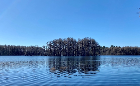 Cottage Home on Lake Ocatahatchee For Sale in Jennings, FL - image 25