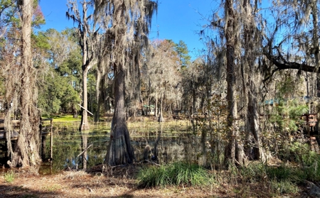 Cottage Home on Lake Ocatahatchee For Sale in Jennings, FL - image 33