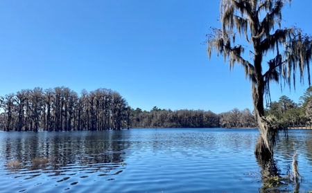 Cottage Home on Lake Ocatahatchee For Sale in Jennings, FL - image 28