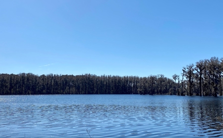 Cottage Home on Lake Ocatahatchee For Sale in Jennings, FL - image 29