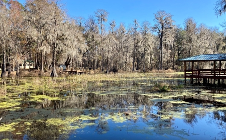 Cottage Home on Lake Ocatahatchee For Sale in Jennings, FL - image 27