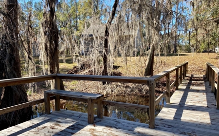Cottage Home on Lake Ocatahatchee For Sale in Jennings, FL - image 32