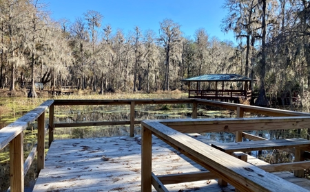 Cottage Home on Lake Ocatahatchee For Sale in Jennings, FL - image 31