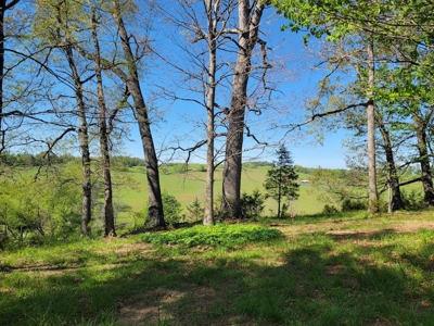 Offering #1 - Building Lot for Sale in Riner VA - image 34