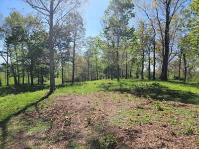 Offering #1 - Building Lot for Sale in Riner VA - image 33