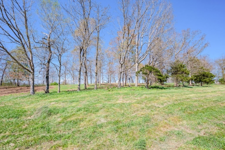 Offering #1 - Building Lot for Sale in Riner VA - image 21