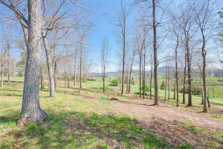 Offering #1 - Building Lot for Sale in Riner VA - image 22
