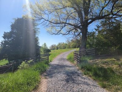 Offering #1 - Building Lot for Sale in Riner VA - image 27