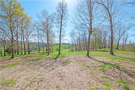 Offering #1 - Building Lot for Sale in Riner VA - image 19