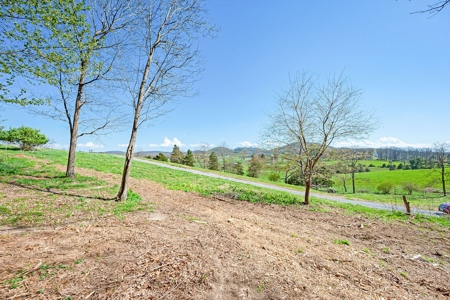 Offering #1 - Building Lot for Sale in Riner VA - image 23