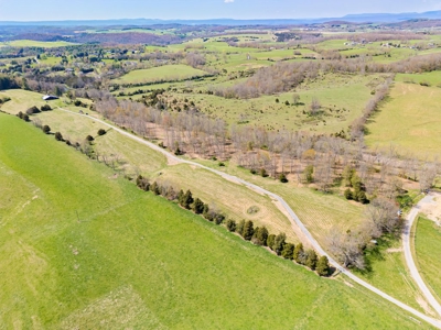 Offering #1 - Building Lot for Sale in Riner VA - image 6