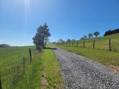 Offering #1 - Building Lot for Sale in Riner VA - image 26