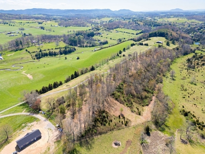 Offering #1 - Building Lot for Sale in Riner VA - image 4