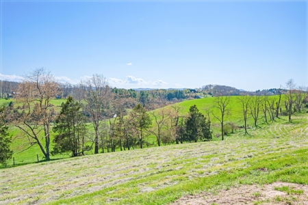 Offering #1 - Building Lot for Sale in Riner VA - image 16