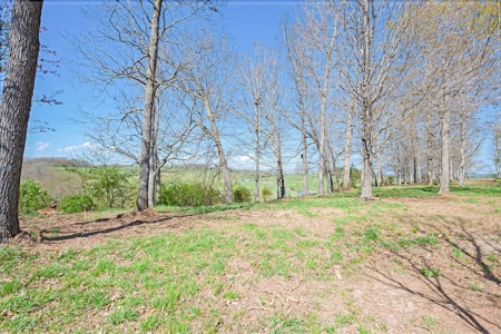 Offering #1 - Building Lot for Sale in Riner VA - image 20