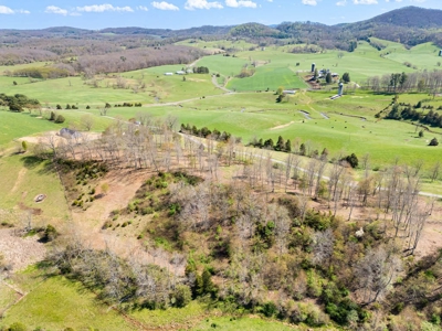 Offering #1 - Building Lot for Sale in Riner VA - image 8