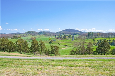 Offering #1 - Building Lot for Sale in Riner VA - image 17