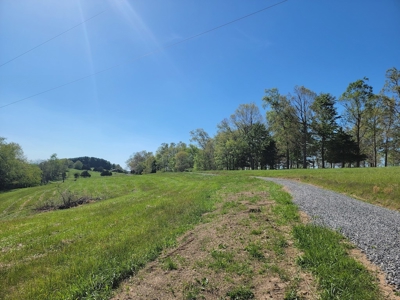 Offering #1 - Building Lot for Sale in Riner VA - image 28