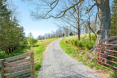 Offering #1 - Building Lot for Sale in Riner VA - image 15