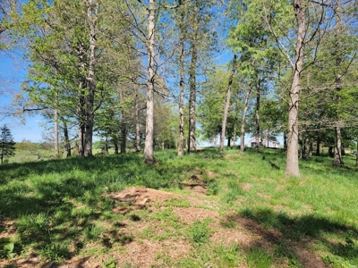 Offering #1 - Building Lot for Sale in Riner VA - image 32