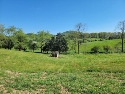 Offering #1 - Building Lot for Sale in Riner VA - image 37