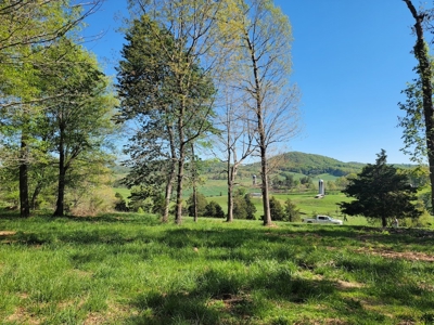 Offering #1 - Building Lot for Sale in Riner VA - image 35