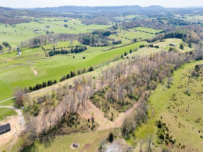Offering #1 - Building Lot for Sale in Riner VA - image 3