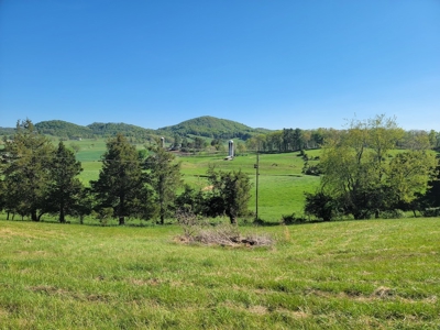 Offering #1 - Building Lot for Sale in Riner VA - image 29